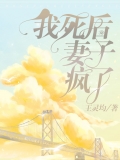 我死后，妻子疯了