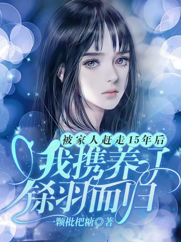 被家人赶走15年后,我携养子铩羽而归